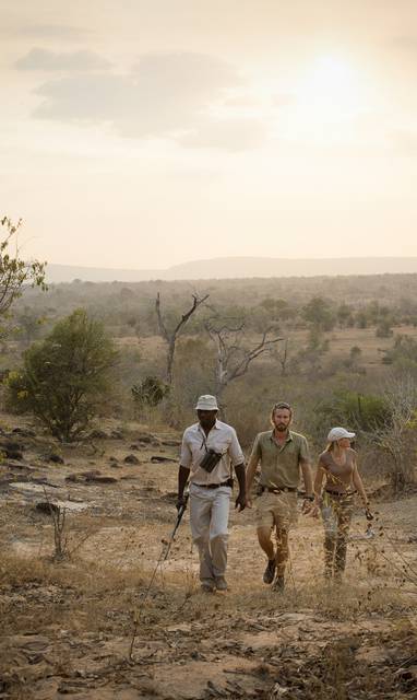 Begeleide wandeling vanuit Sand Rivers | Nyerere National Park