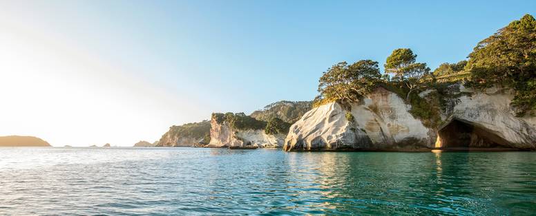 Een kustlijn met oceaan en rotsen bij Cathedral Cove in Nieuw-Zeeland.